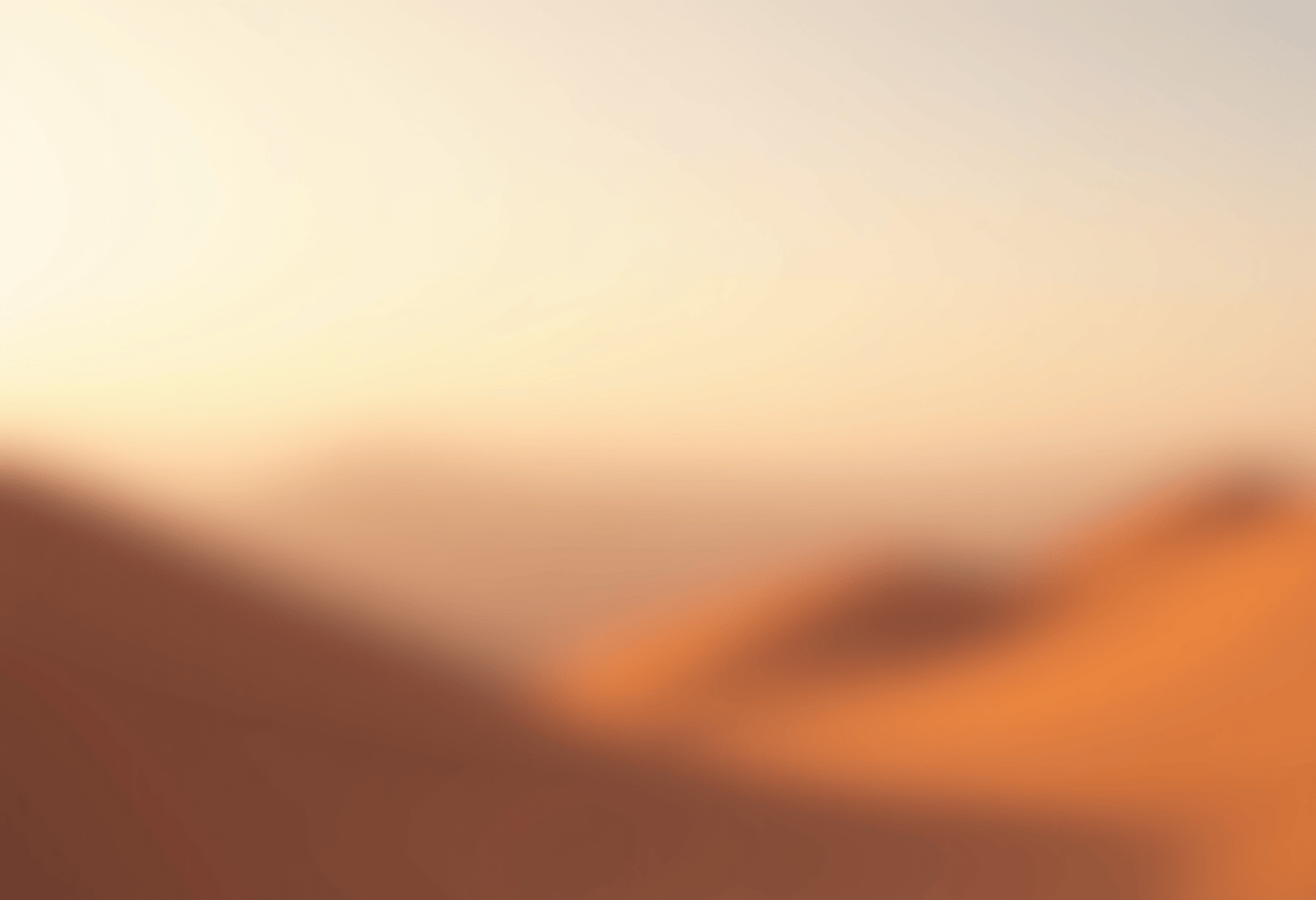 xpel prime xr plus performance data tint on car window