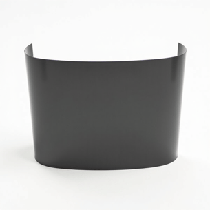 Tesla with XPEL tint