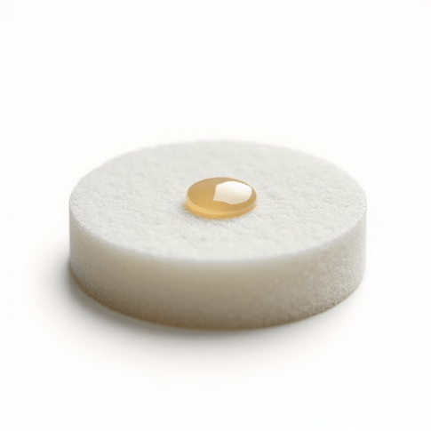 polishing pad with ceramic coating compound